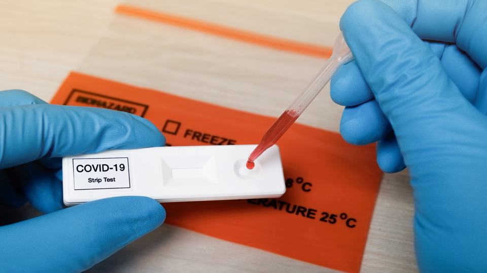 COVID-19 Blood Testing Strip and Hands with Blue Vinyl Gloves